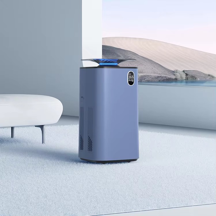 The Lazy Air